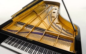 The Barenboim-Maene Piano